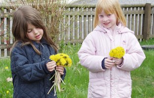 Kinder im Garten