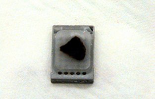 Gewebeproben an der Oberfläche des Paraffinblocks.